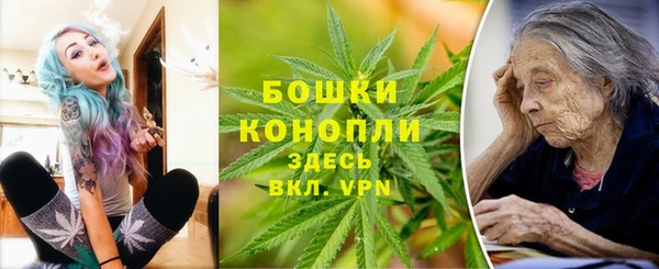 стафф Богданович